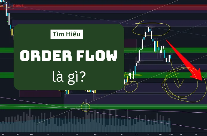 order-flow-la-gi-1-1