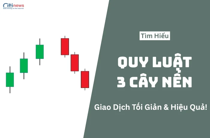 quy-luat-3-cay-nen-la-gi-1