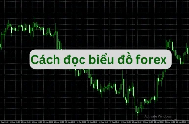 cach-doc-bieu-do-forex-2-1
