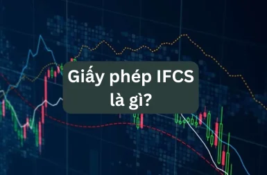 giay-phep-ifcs-2
