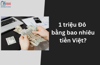 1-trieu-do-bang-bao-nhieu-tien-viet