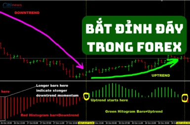 bat-dinh-day-trong-forex-1-1