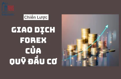 chien-luoc-giao-dich-forex-cua-quy-dau-co-1