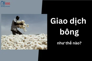 giao-dich-bong