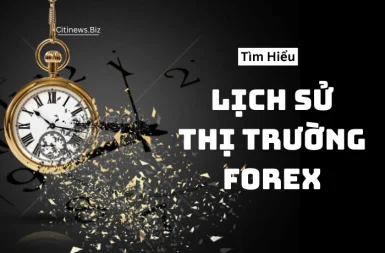 lich-su-thi-truong-forex-1