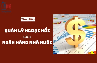 quan-ly-ngoai-hoi-cua-ngan-hang-nha-nuoc