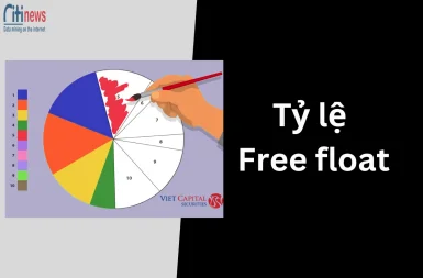 ty-le-free-float