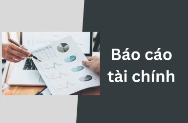 bao-cao-tai-chinh-3