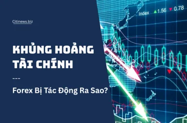khung-hoang-tai-chinh-2