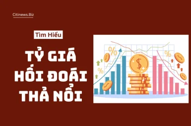 ty-gia-hoi-doai-tha-noi