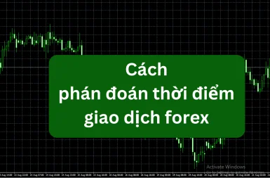 phan-doan-thoi-diem-giao-dich-forex-1-1