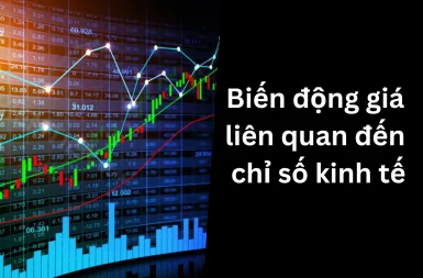 bien-dong-gia-lien-quan-den-chi-so-kinh-te-1