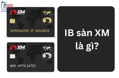 ib-san-xm-la-gi