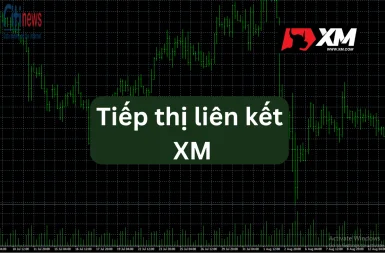 tiep-thi-lien-ket-xm-2