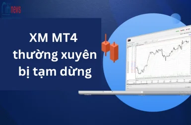 xm-mt4-thuong-xuyen-bi-tam-dung