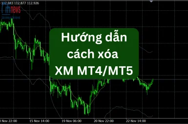 xoa-xm-mt4mt5