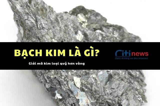 bach-kim-la-gi