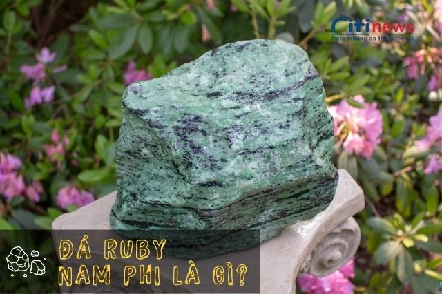 da-ruby-nam-phi-la-gi