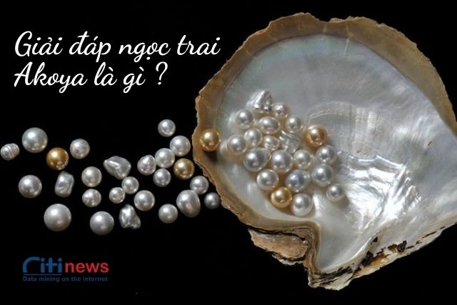 ngoc-trai-akoya-la-gi