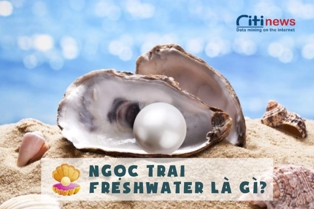 ngoc-trai-freshwater-la-gi