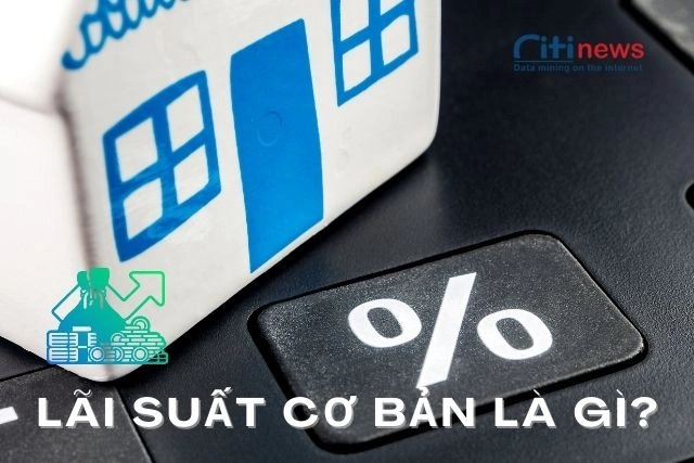 lai-suat-co-ban-la-gi