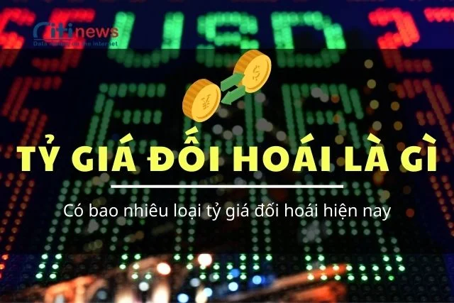 ty-gia-doi-hoai-la-gi