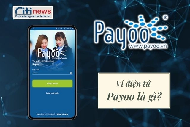 vi-dien-tu-payoo-la-gi