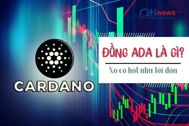 dong-ada-la-gi