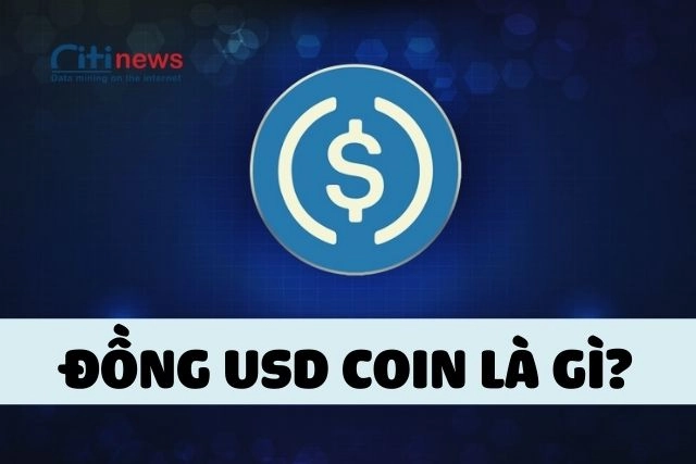 usd-coin-la-gi