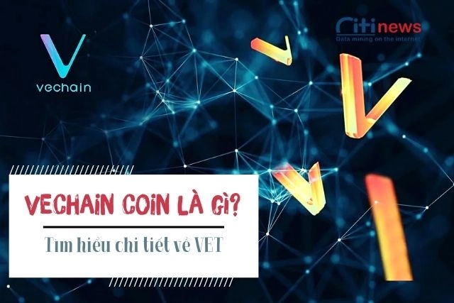 vet-la-gi