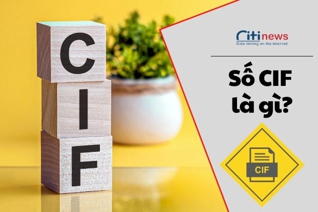 so-cif-la-gi