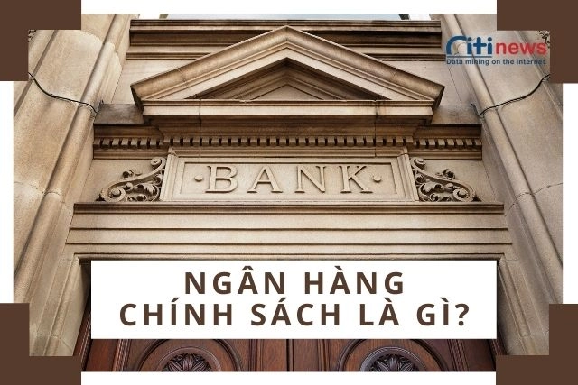 ngan-hang-chinh-sach-la-gi