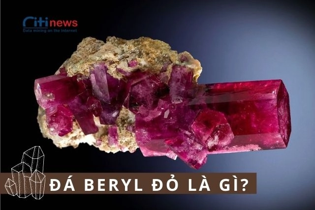 da-beryl-do-la-gi