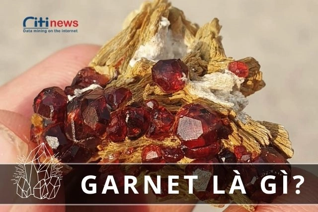 garnet-la-gi