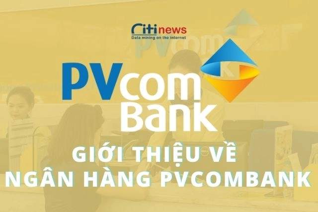 gioi-thieu-ve-ngan-hang-pvcombank