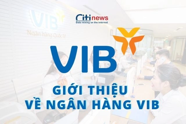 Giới thiệu về ngân hàng VIB