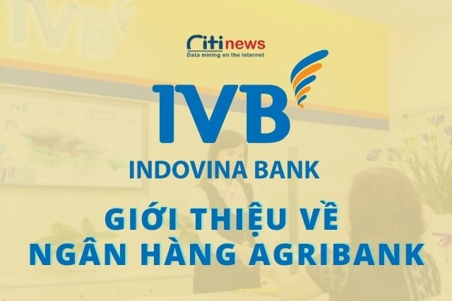 gioi-thieu-ve-ngan-hang-indovina