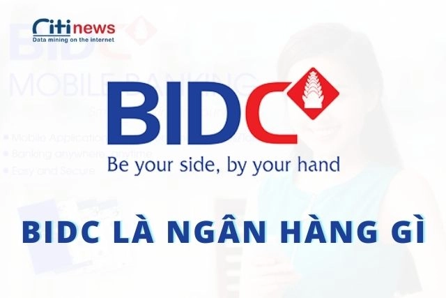 bidc-la-ngan-hang-gi