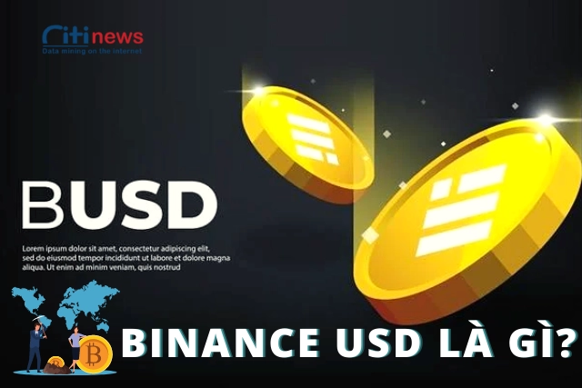 binance-usd-la-gi
