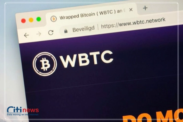 Có rất nhiều đồng tiền tương tự như WBTC