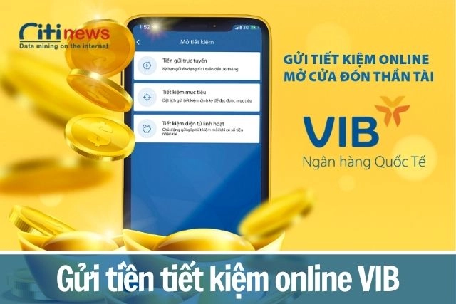 gui-tien-tiet-kiem-online-vib
