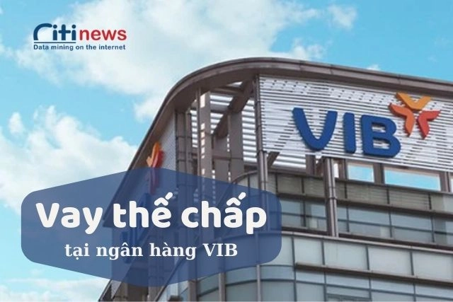vay-the-chap-tai-ngan-hang-vib