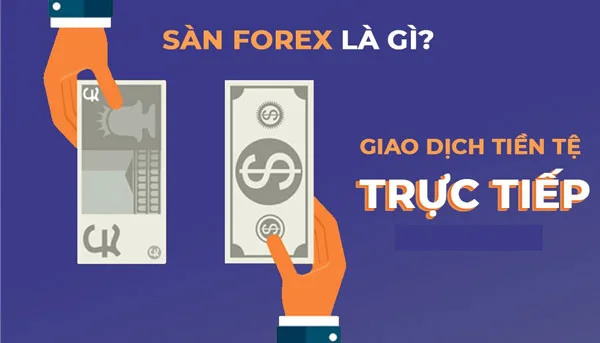 san-forex-la-gi-01