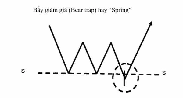 bear-trap-la-gi-1-1658724118
