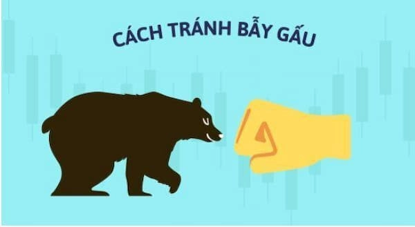 bear-trap-la-gi-4-1658724584