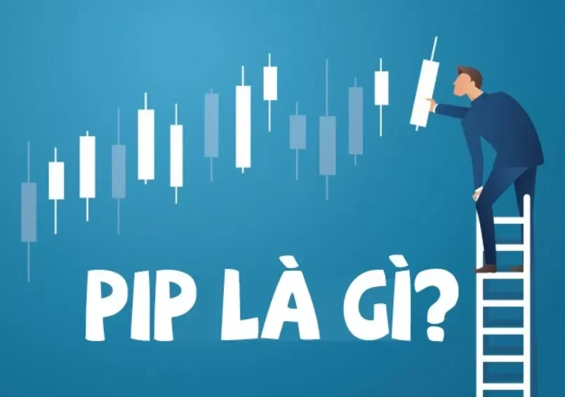 pip-la-gi2