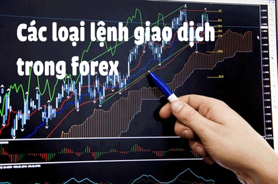 cac-loai-lenh-trong-forex-01-1