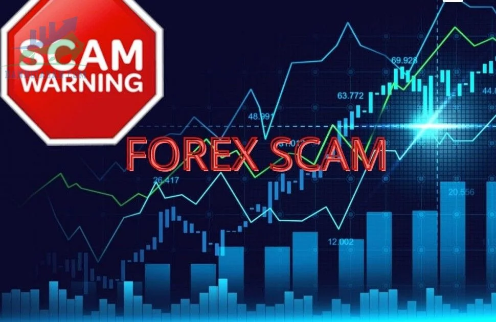 san-forex-bi-bat-san-forex-lua-dao-result