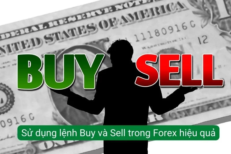 su-dung-lenh-buy-va-sell-trong-forex-hieu-qua