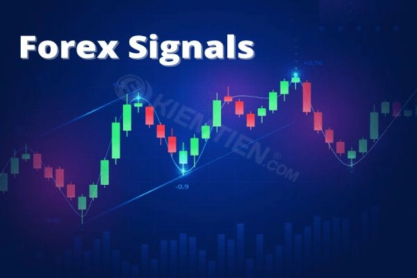 tin-hieu-forex-chuan-1-1662738837